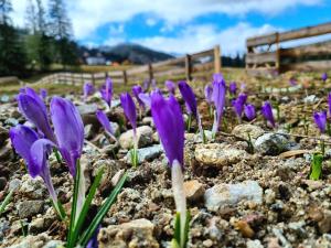 Příroda nedaleko penzionu – hostince