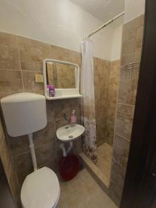 a bathroom with a toilet and a sink and a shower at Vila Andja, Apartmani i Sobe in Krašići +30 photos