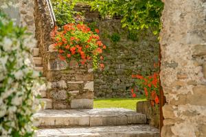 A garden outside Convento La Perla