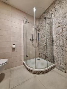 Kúpeľňa v ubytovaní Apartmány Horní Bečva