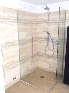 una ducha con mampara de cristal en un baño en DELuxe 4 Bedrooms in Fegina Monterosso, en Monterosso al Mare 12 fotos más