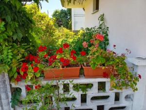 A garden outside B&B Villa Bucceri