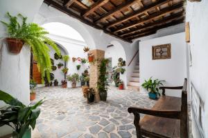 een binnenplaats met potplanten in een gebouw bij Hotel Boutique V in Vejer de la Frontera