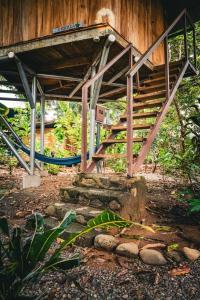 Giardino di Flutterby House Hostel