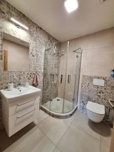 Kúpeľňa v ubytovaní Apartmány Horní Bečva