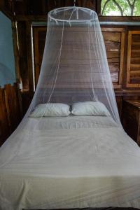 Letto o letti in una camera di Flutterby House Hostel