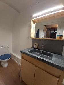 a bathroom with a sink and a toilet and a mirror at Wissant, petite maison avec jardin proche mer in Wissant +12 photos