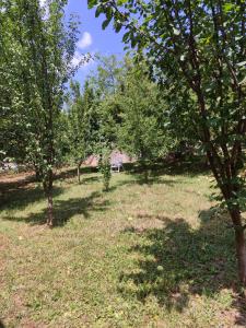 Afbeelding uit fotogalerij van Esma in Vogošća