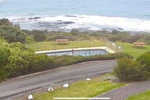 阿波罗湾6 Whitecrest Great Ocean Road Resort - Ocean View的路边有羊的房子 更多6张照片