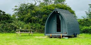 a green tiny house and a bench in a field at Yule Tree Campsite in Helston