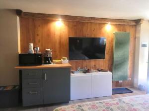 a living room with a tv on a wooden wall at Petite Maison Gaspard in Valtournenche
