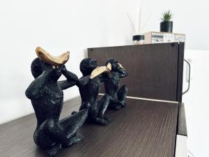 拉法洛维奇70m to the sea的相册照片