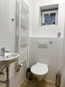Apartmán na sjezdovce tesisinde bir banyo