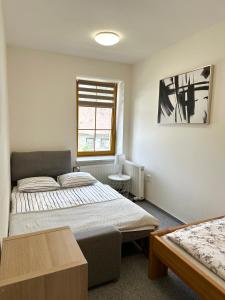 Apartmán na sjezdovce tesisinde bir odada yatak veya yataklar
