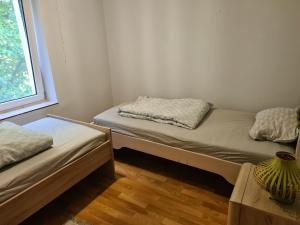 two twin beds in a room with a window at U Judyty na Ponidziu Gospodarstwo Agroturystyczne in Krzyżanowice Dolne