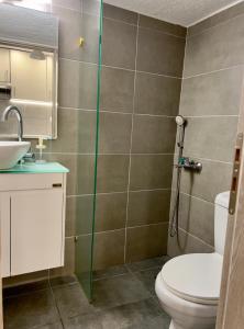 a bathroom with a shower and a toilet and a sink at Terrace Garden Close To Sea in Athens +20 photos