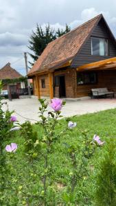 a house with pink flowers in front of it at Căsuța cu tihnă in Porumbacu de Sus