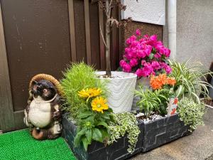 a display of flowers and plants in a black box at 金の森民泊 in Osaka
