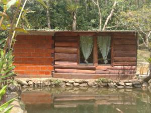 Příroda nedaleko penzionu + 13 fotografií