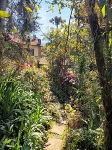 a path through a garden with flowers and trees at Chalé charmoso e aconchegante em Visconde de Maua in Visconde De Maua
