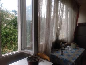 a window in a room with a view of trees at Комната в ретро стиле в трехкомнатной квартире с отдельным входом in Yerevan
