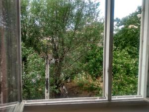 an open window with a view of a tree at Комната в ретро стиле в трехкомнатной квартире с отдельным входом in Yerevan