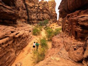 two people walking down a dirt path through a canyon at Stargazing Camp & Tours in Wadi Rum