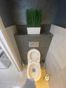 a bathroom with a toilet with a potted plant at Résidence Basilic in Grâce-Hollogne