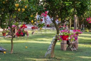 Ein Garten an der Unterkunft Giardino di Nonno Lucio - Surrounded by Lemon Tree