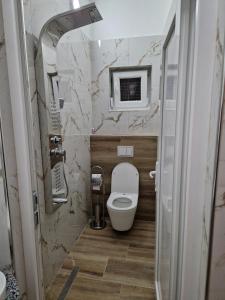 a small bathroom with a toilet and a sink at Apartmani & Auto kamp GAJ in Gacko +23 photos