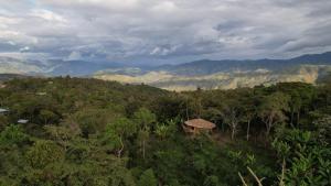 una vista aerea di una foresta con montagne sullo sfondo di Finca La Colpia a San Ignacio