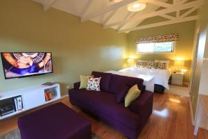 TV a/nebo společenská místnost v ubytování Inglenook Luxury Spa Cottage for Two