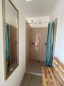 a bathroom with a shower and a mirror at Hostal Centro Histórico in Oaxaca City