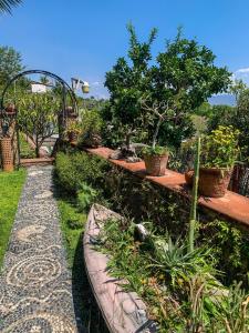 a garden with a row of potted plants and trees at La Casa del Guamúchil in Tequesquitengo