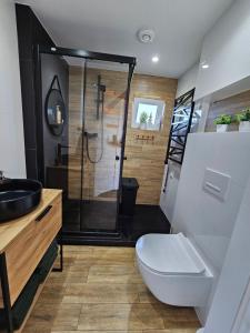 a bathroom with a shower and a toilet and a sink at Rogate Chatki in Lutowiska