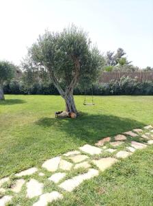 Gallery image of Villa al mare in Petrosino