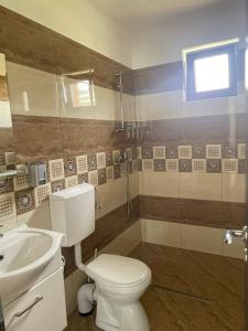 a bathroom with a toilet and a sink at Casă de Vacanță Raul in Gura Rîului