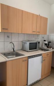 Kuchyň nebo kuchyňský kout v ubytování Fehér Orchidea Apartman