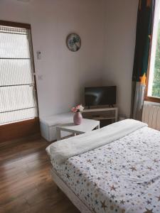 a bedroom with a bed and a tv at Sara in Nîmes