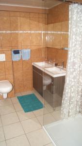 a bathroom with a shower and a sink and a toilet at Fleurs-Sauvages in Hebronval