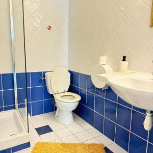 a blue and white bathroom with a toilet and a sink at Studio agréable en forêt in Saint-Jouan-des-Guérets +14 photos