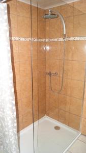 a shower with a glass door in a bathroom at Fleurs-Sauvages in Hebronval