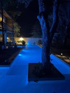 a blue lighted sidewalk with a tree at night at Villa Natural en Chemuyil in Balcheil