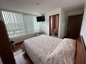杜伊塔马Hotel Santris的一间带床和平板电视的卧室