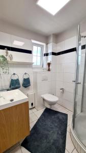 een badkamer met een wastafel, een toilet en een douche bij Hafenidyll 46 in Ostseebad Karlshagen +23 foto's