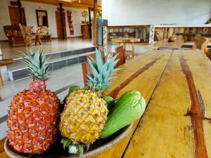 Gallery image of Tierra Activa Alojamiento Eco Rural finca orgánica y agroturística in San Agustín