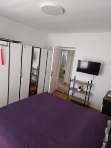 TV a/nebo společenská místnost v ubytování Two bedroom Apartment Libertas