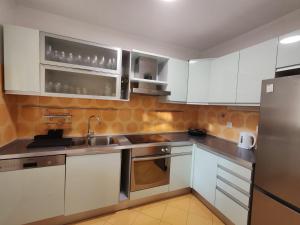 Kuchyň nebo kuchyňský kout v ubytování Apartment EMMI + 7 fotografií