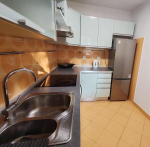 Kuchyň nebo kuchyňský kout v ubytování Apartment EMMI