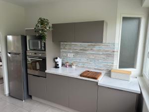 Kuchyň nebo kuchyňský kout v ubytování Appartement charmant